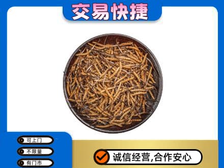 郑州高价回收散虫草